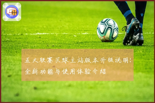五大联赛买球主站版本升级说明：全新功能与使用体验介绍