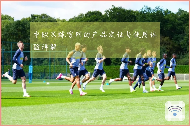 中欧买球官网的产品定位与使用体验详解