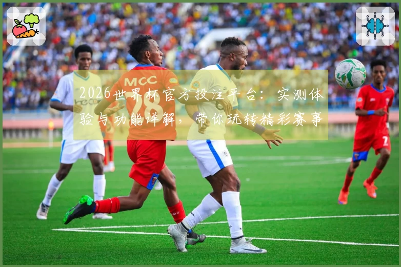 2026世界杯官方投注平台：实测体验与功能详解，带你玩转精彩赛事直播